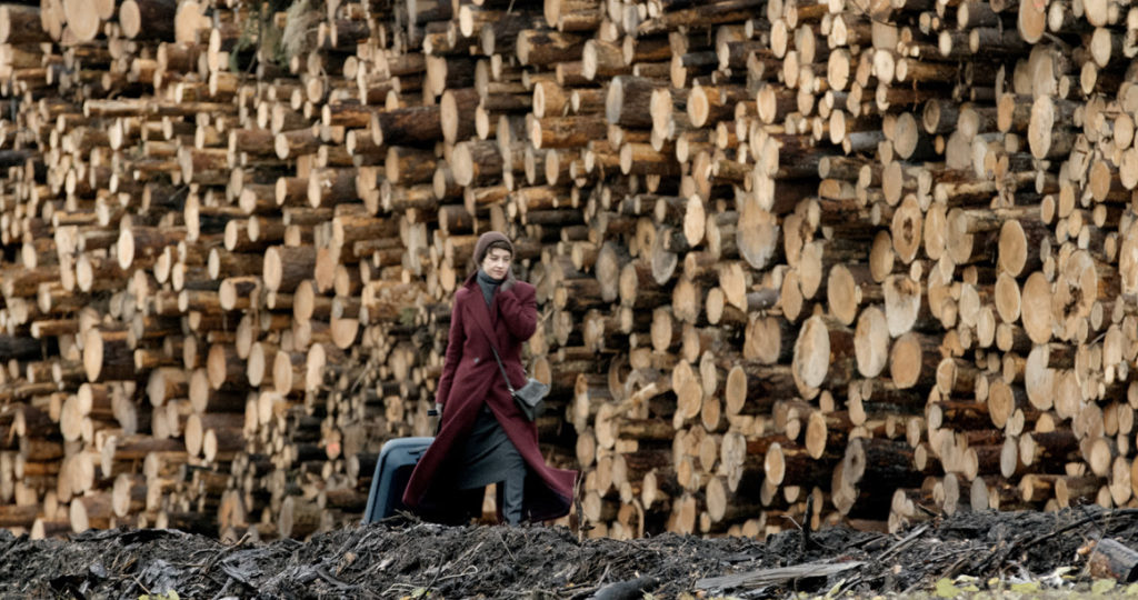 Cairo International Film Festival announces 27 World and International Premieres